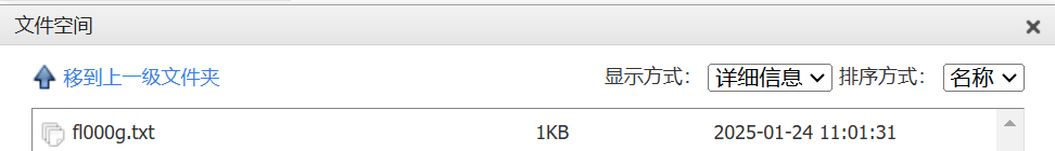 image-20250124190740134