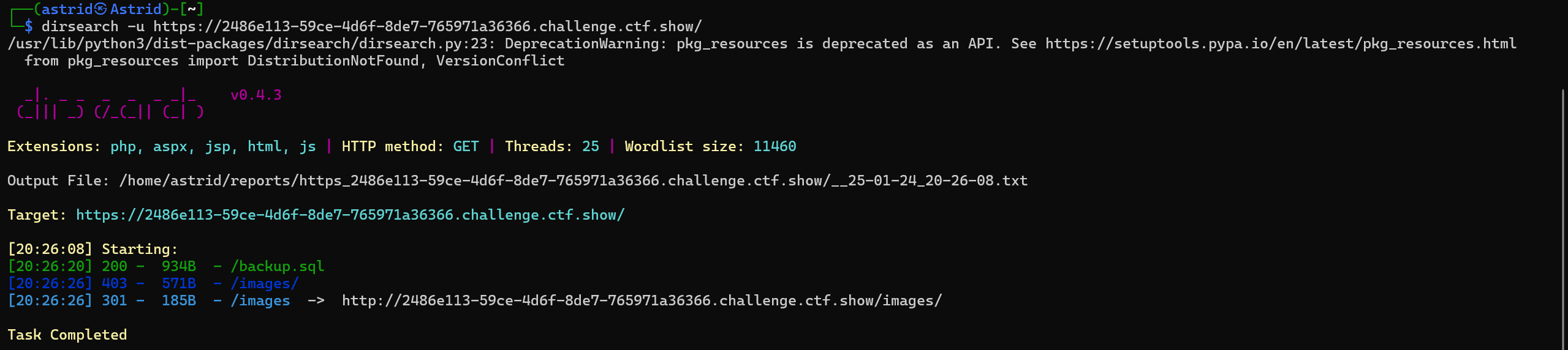 image-20250124202728084