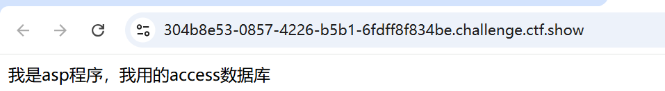 image-20250124210958378