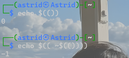 image-20250211113436677