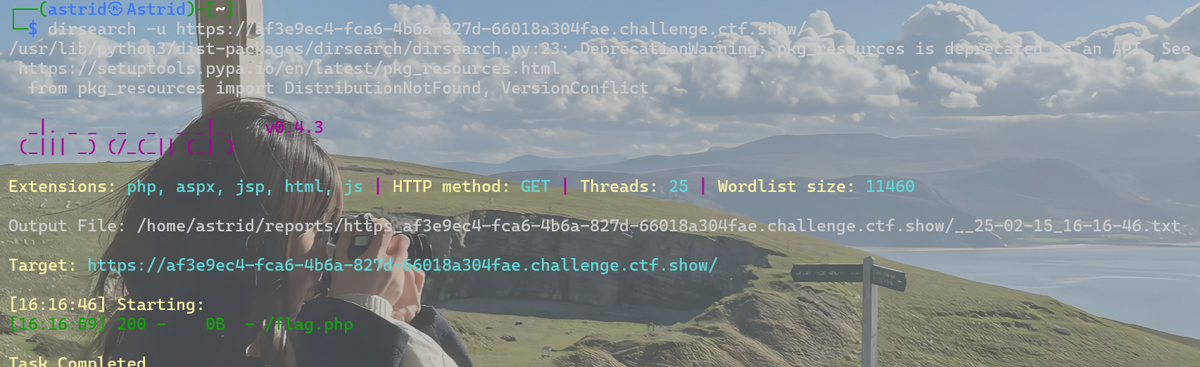 image-20250215162906923