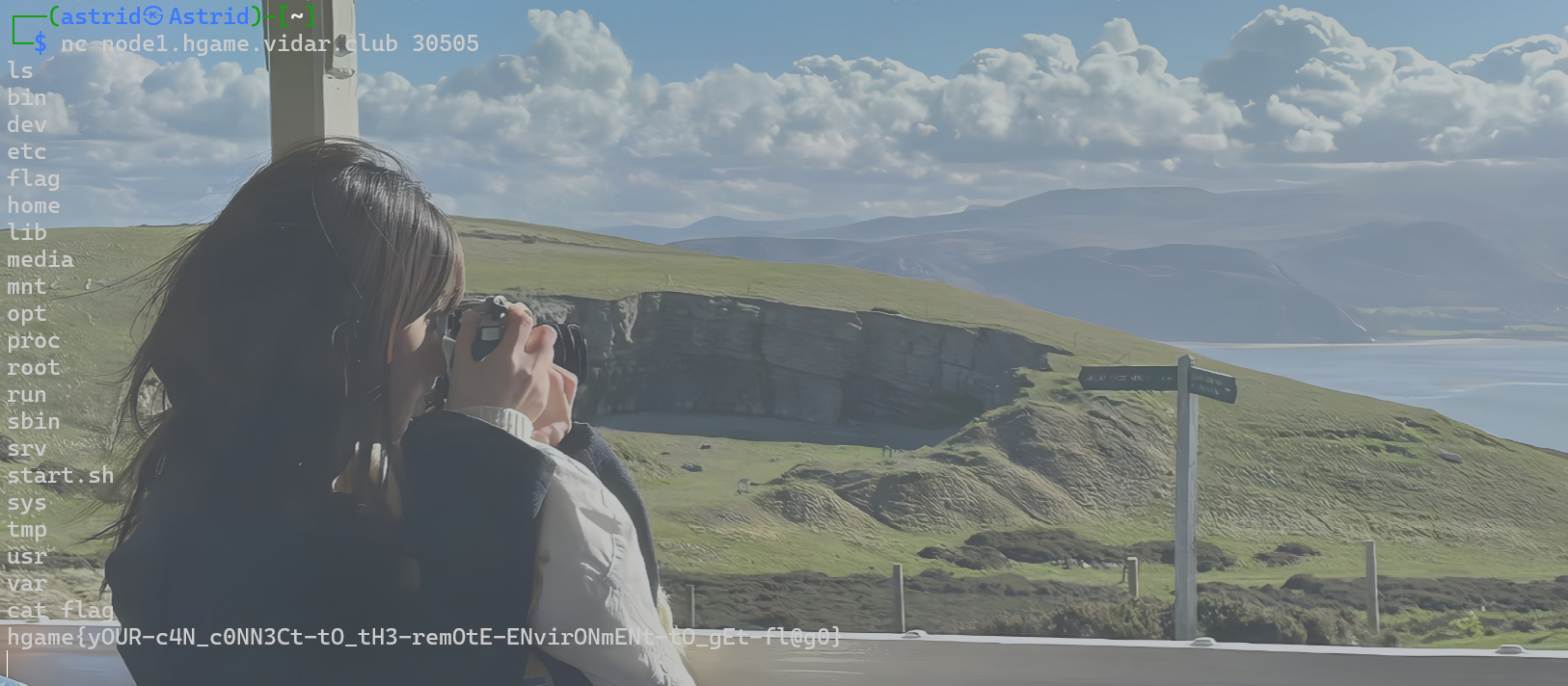 image-20250219191410061