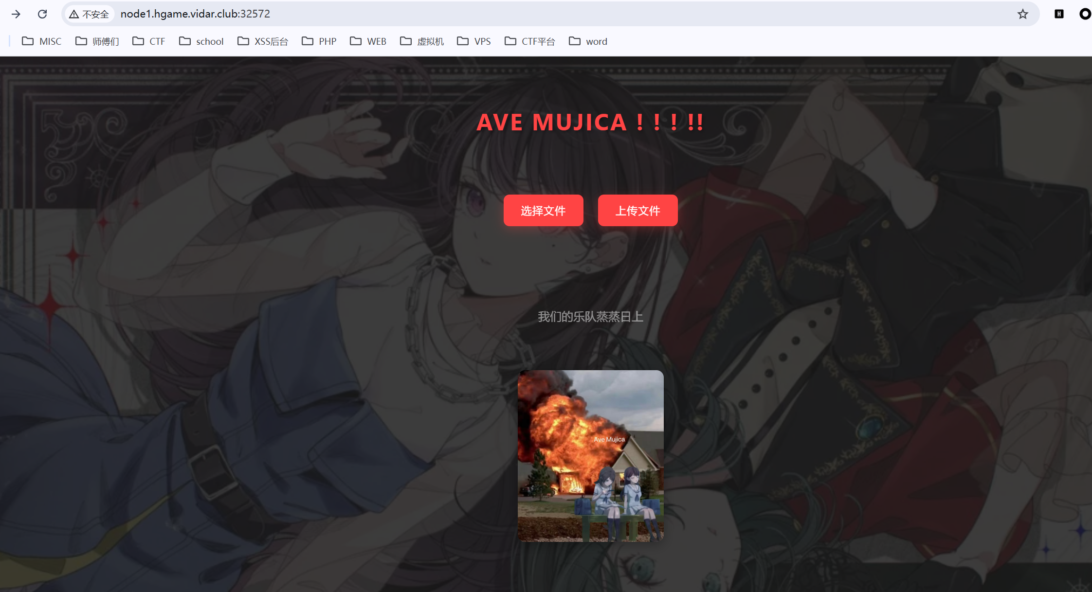 image-20250219203035276