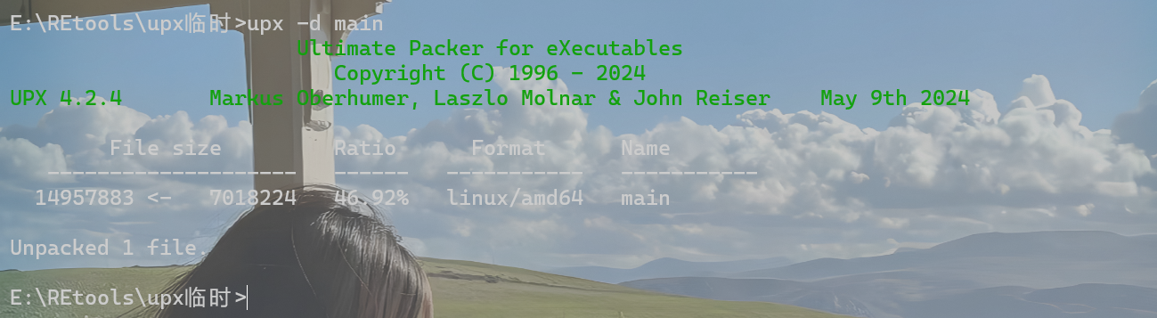 image-20250219204145042