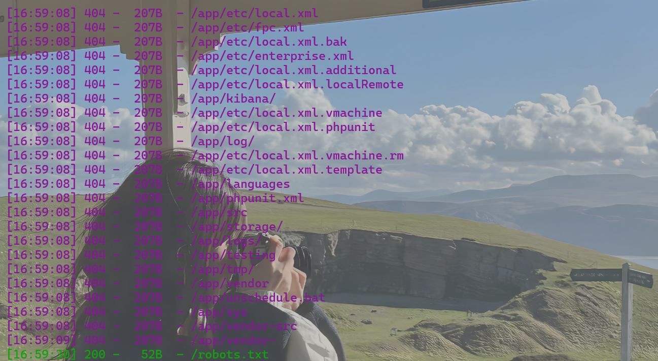 image-20250223170023864